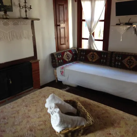 Salkim Konak Ve Agac Evler