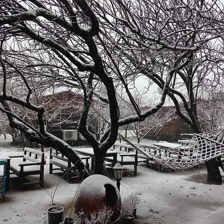 Salkim Konak Ve Agac Evler * セルチュク