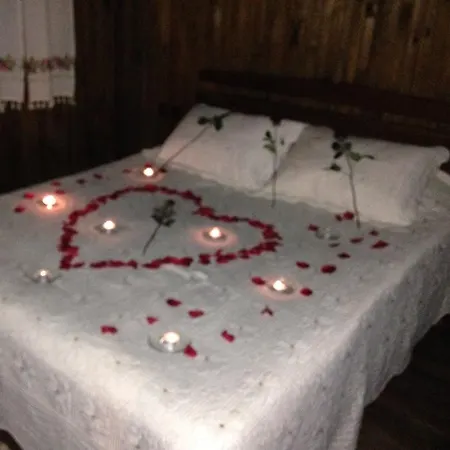 ゲストハウス Salkim Konak Ve Agac Evler *