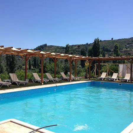 Salkim Konak Ve Agac Evler セルチュク