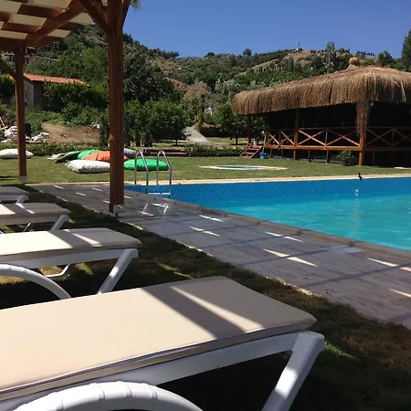 ゲストハウス Salkim Konak Ve Agac Evler *