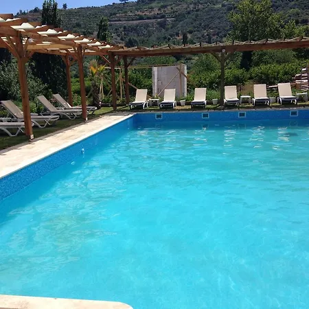 Salkim Konak Ve Agac Evler