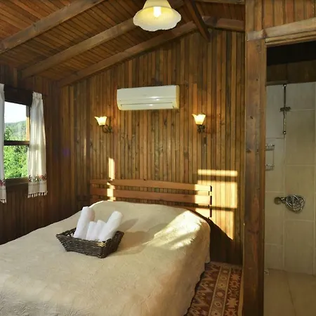 Salkim Konak Ve Agac Evler * セルチュク