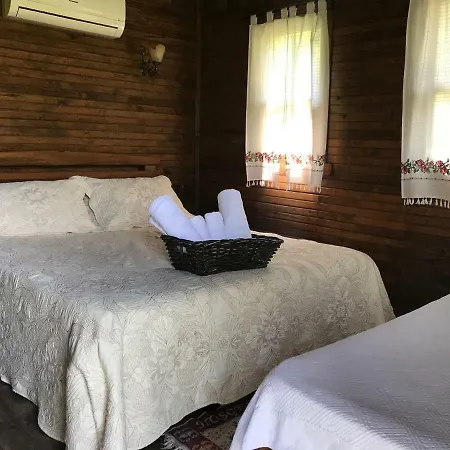 Salkim Konak Ve Agac Evler セルチュク