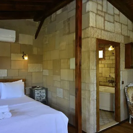 Salkim Konak Ve Agac Evler セルチュク