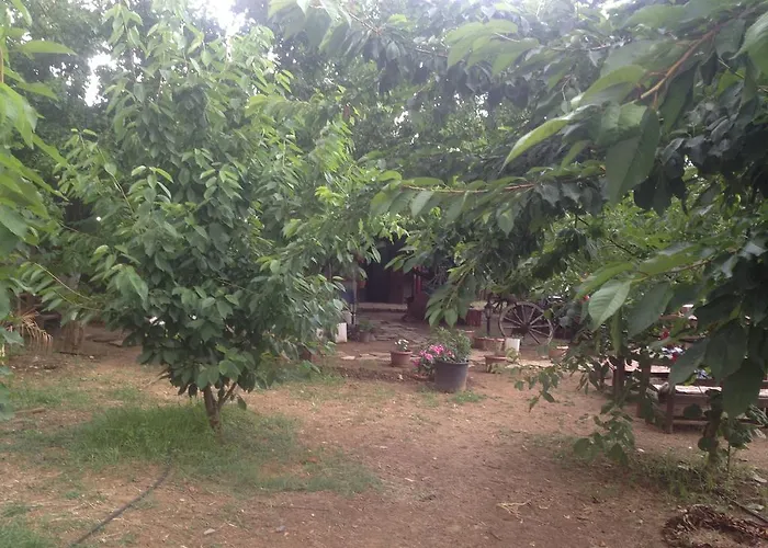 Salkim Konak Ve Agac Evler Selçuk