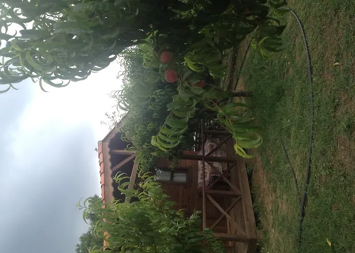 Salkim Konak Ve Agac Evler